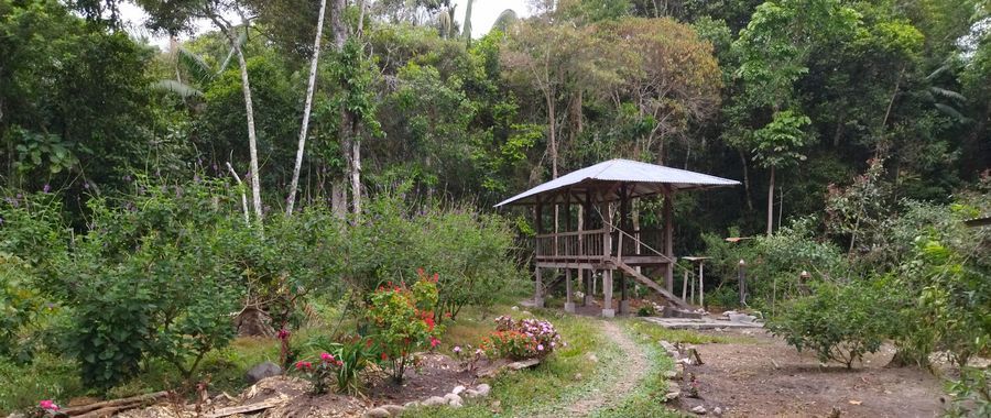 Donations for conservation